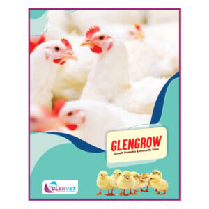 Glengrow<br><span class="subtitle">Growth Promoter & Immunity Tonic</span>