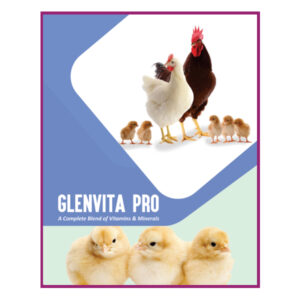 Glenvita Pro<br><span class="subtitle">A Complete Blend of Vitamins & Minerals</span>