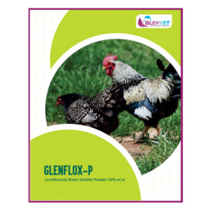 Glenflox-P<br><span class="subtitle">Levofloxacin Water Soluble Powder 10% w/w</span>