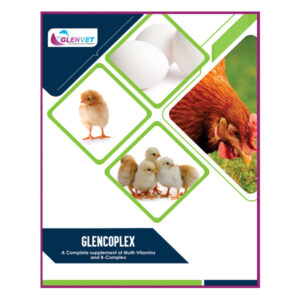 GlencoPlex<br><span class="subtitle">A Complete supplement of Multi-Vitamins and B-Complex</span>