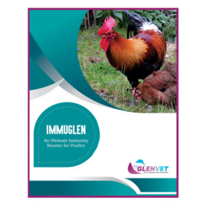 ImmuGlen<br><span class="subtitle">An Ultimate Immunity Booster for Poultry</span>